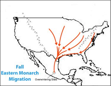 monarch butterfly migration map for kids